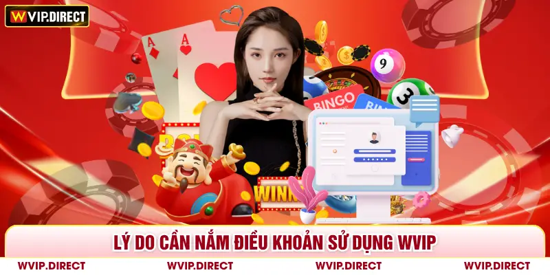 Lý do cần nắm điều khoản sử dụng WVIP